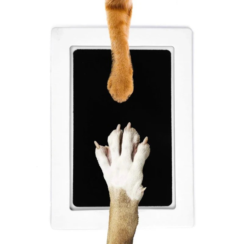 Cat Dog Paw Print Ink Kit Pad  - đánh giá và giá Footprint Ink Kit
