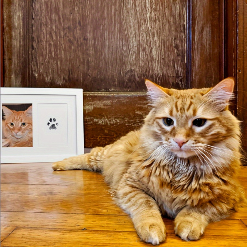 The Pet Paw Print Kit Comes Wi - đánh giá và giá Footprint Ink Kit
