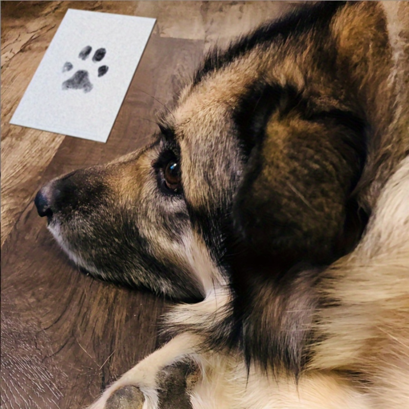 The Pet Paw Print Kit Comes Wi - đánh giá và giá Footprint Ink Kit